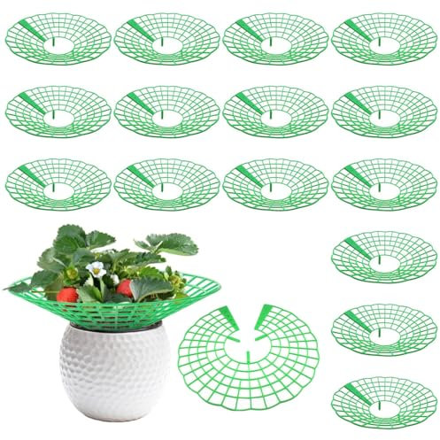 Bangbobi Erdbeeren Schutz - 15 Erdbeerstützen für gesunde Erdbeerpflanzen, Schutz vor Schneckenfraß und Fäulnis, Abnehmbare Erdbeerturm Gitter