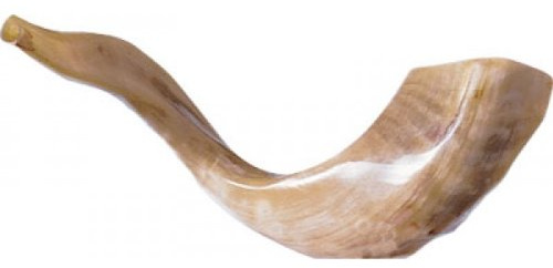 Schofar Shofar Kosher Rams Horn Polished Natural Chofar Showfar Jewish Blow Trumpet Gift Elul instrument Chofar