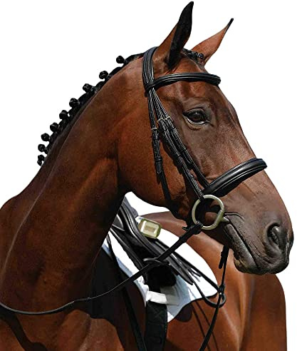 Collegiate Syntovia+ Padded Raised Cavesson Bridle, Black, Cob