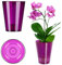 KADAX Flowerpot, Slim Orchid Pot, semplice fioriera, secchio di fiori per orchidea, erba da ragazzo, margherite, trama per cucina e soggiorno (⌀ 12 cm, rotondo, prugna)