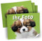20 große Foto-Aufkleber PERSONALISIERT mit eigenem Foto - Etiketten mit individuellen Fotos ca. 10 x 12,5 cm Schule Flaschen Kinder Kita Tiere Hund Katze Familie quer