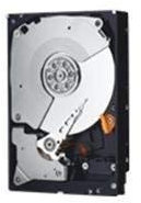 Western Digital 3TB RE SAS 8,9 cm 7200rpm interne Festplatte, 64 MB Puffer (Generalüberholt)