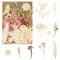 Bohoman Fiori Secchi Naturali, Veri Fiori Secchi per Resina Misti Petali e Foglie di Fiori Pressati Fiori Secchi Eterna Fiore per Fai da Te Scrapbooking Candele Decorazione