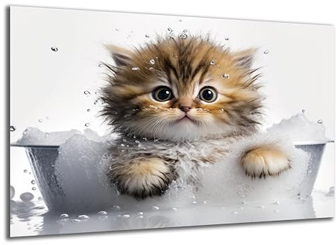 DARO Design - Toiletten-Bild auf 6mm HDF 70x50 cm Baby Katze Kätzchen Kitten in der Badewanne - Wand-Deko Bilder Lustiges Geschenk