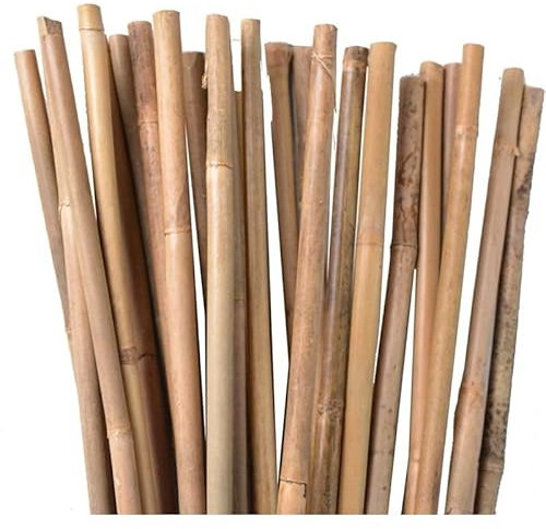 100 Tutores de Bambú para Plantas 120 cm Ø 10-12 mm Estacas de Jardin, Tutores para Tomateras, Cañas Huerto, Ideal como Soporte en Tomates, Macetas, Plantas Verdes y Flores - Color Natural.