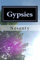 Gypsies (Biography of an Ancient Book 4) (English Edition)