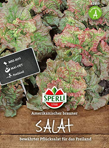 Sperli Pflücksalatsamen Amerikanischer brauner 82915, Gemüsesaat | Schnellwachsender Schnitt- & Blattsalat mit rötlich-braunen, mehrmals ernten