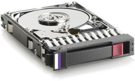 Hewlett Packard Enterprise 300GB 6G SAS 10K rpm SFF (2.5-inch) Dual Port Enterprise 3yr Warranty Hard Drive 2.5 300 Go Disque dur - Disques durs (2.5, 300 Go, 10000 tr/min)