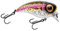 Spro Fat Iris 40 Wobbler Rainbowtrout 4cm 5,4g