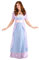 Rose Titanic Fancy Dress Costume for Women Large