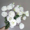 500 pcs Weiß Eustoma Samen, Balkonpflanzen Winterhart Lisianthus - (Eustoma grandiflorum) Wildblumensamen Blumenwiese Samen MehrjäHrig Winterhart Blumensamen Gastgeschenk Winterfeste