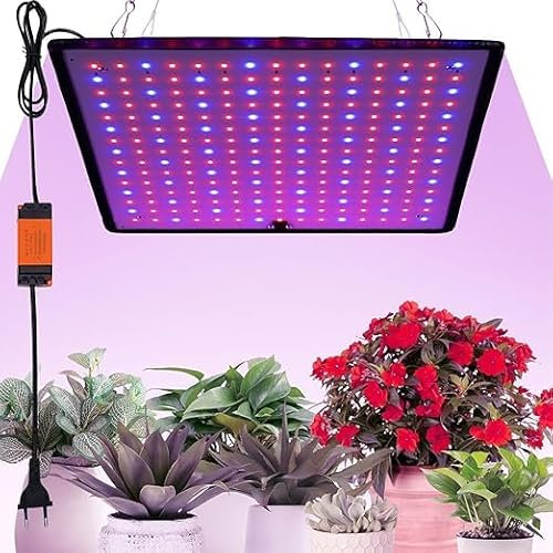 Asslye Lampes Horticoles de Croissance pour Plante Fleurs, 225 LEDs 1000W Lampe de Culture Spectre Complet Lumière pour Jardinage, Intérieur Hydroponic Semis