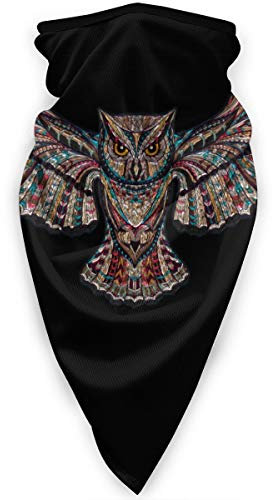 Geflügelte Hochfliegende Eule Herren Damen Gesichtsdekoration Schlauchschal Multifunktion Headwrap Bequem Halstuch Für Yoga Radfahr Wandern