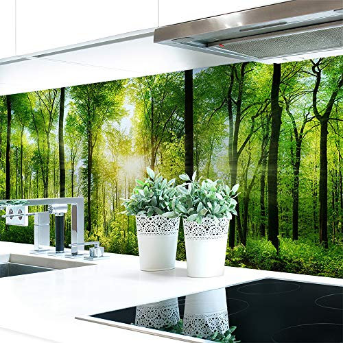 Küchenrückwand Waldlichtung Premium Hart-PVC 0,4 mm selbstklebend - Direkt auf die Fliesen, Größe:220 x 51 cm