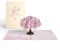 Lovepop® Cherry Blossom 3D Pop-Up Karte Kirschblüten Sakura Baum Grußkarte für Jahrestag, Geburtstag, Dankeschön, Einfach so | inkl. Umschlag & Versteckfach für Geld & Gutscheine