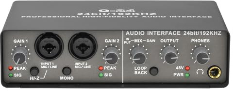 CRAKES Professionelle 24 Bit 192 kHz Audio-Schnittstelle 2 Eingang Soundkarte für E-Gitarre Loopback Externe Studio PC Aufnahme Einfach zu bedienen