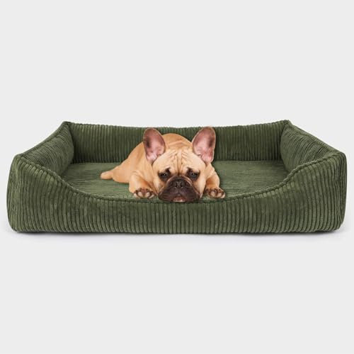 PAW WOW Anton Hundebett | Orthopädisches Hundebett | Hundekörbchen für mittelgroße und große Hunde (Olive, 105x75cm)
