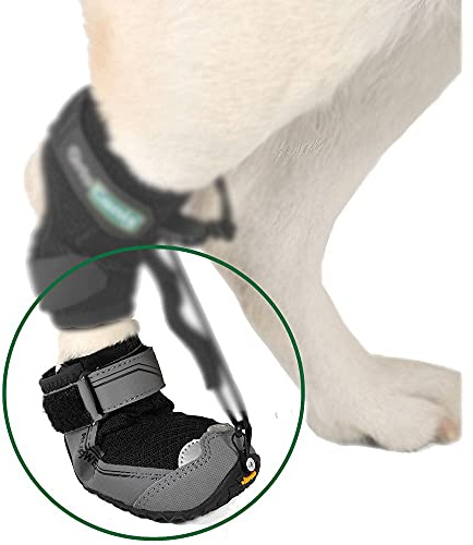 Ortocanis Hundeschuh zur propriozeptiven Korrektur - Knöchelschutzschuh für Hund - nur 1 Schuh - propriozeptiver Korrektor Nicht enthalten