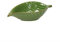 Tognana Relief Zaira Leaf Bowl in the shape and structure of a leaf, green, 20 x 12 cm, made of ceramic