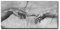 Berühmte Schwarzweiß Die Erschaffung Adams Von Michelangelo an der Wand Leinwand Gemälde Poster Hand zu Hand Kunstbilder 70x140cm (28x55in) Rahmenlos