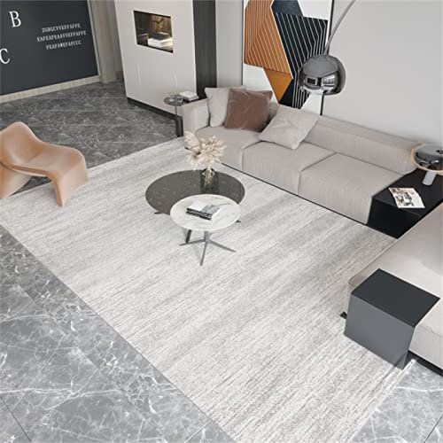 Alfombra Antideslizante Salon Alfombras Que Se Pueden Fregar Alfombra Nórdica para Sala De Estar, Sofá, Dormitorio, Mesita De Noche, Cocina, Entrada, Puerta, Gris Alfombras Comedor 200X300cm