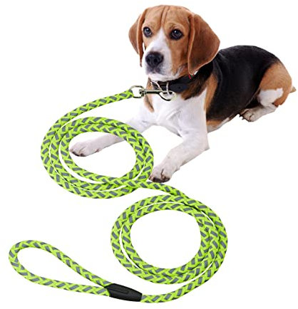 Relaxdays Hundeleine reflektierend, 2,5 m lang, mit Schlaufe, Leine für kleine & mittelgroße Hunde, bis 17 kg, grün/grau