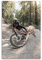 YBHF Großes Foto-Poster, Motiv: Sport Mountainbike, Downhill, Wandkunstdruck, Retro, ästhetisch, Raumdekoration, Bürodekoration, 30 x 45 cm, ungerahmt