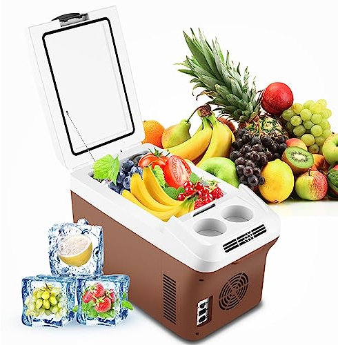 Mini Fridge 15L Car Refrigerator Portable Cooler/Warmer Fridge Refrigerator 12V Electric Cooler Box with Shoulder Strap for Camping,Truck,Boat,Picnic