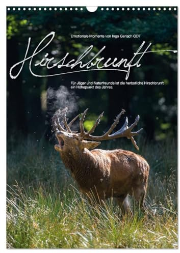 Emotionale Momente: Hirschbrunft (Wandkalender 2026 DIN A3 hoch), CALVENDO Monatskalender: Der König der Wälder in dramatischen und wunderschönen Bildern. (CALVENDO Tiere)