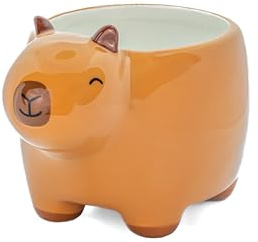 Sass & Belle Capybara Planter - Cute Animal Planter for Houseplants, Quirky Decorative Flower Pot for Home Décor, Ceramic Novelty Pot, Part of Sass and Belle selection of Plant Pots