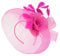 Caprilite Hot Pink Fuchsia Fascinator Headband Veil Wedding Ascot Races Net Hat Feathers Hatinator, One Size
