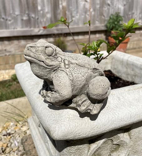 Frog Stone Garden Statue | Outdoor Animal Sculpture Toad Ornament Garden Decor