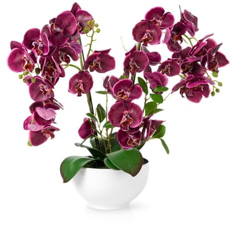 PASCH® XXL Kunstblume Orchidee Groß (56cm) in Hochglanz-Keramiktopf | Künstliche Orchideen im Topf | Kunstblumen Wie Echt | Purpur
