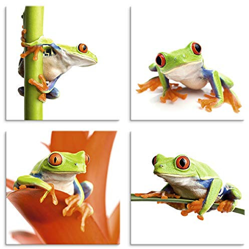 ARTLAND Wanddeko Leinwand Bilder Set 4tlg. je 40x40 cm Quadratisch Wandbilder Tiermotive Frösche Laubfrosch U1OF