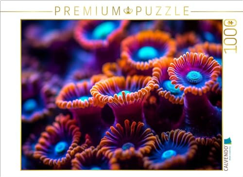 CALVENDO Puzzle Ozeanische Juwelen | 1000 Teile Lege-Größe 64 x 48 cm Foto-Puzzle für glückliche Stunden