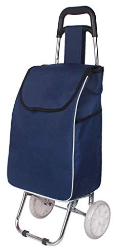 YAODCHU Trolley, zusammenklappbarer Einkaufswagen, 2 Räder, Leichter Push-Pull-Einkaufswagen, Tasche, Gepäck, Lebensmittelwagen aus Edelstahl, maximale Kapazität 30 l, Vision
