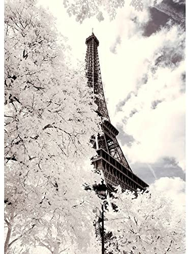 BRICOFLOR Eiffelturm Leinwand Bild | Vintage Paris Bild in Schwarz Weiß für Schlafzimmer und Wohnzimmer | Keilrahmenbild mit Stadt Motiv