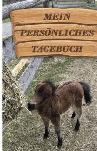 Tagebuch: Mein persönliches Tagebuch