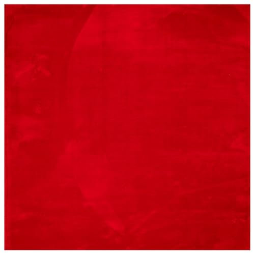 vidaXL Teppich HUARTE Kurzflor Weich und Waschbar Rot 160x160 cm