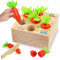 Sunshine smile Holzspielzeug ab 1 Jahr,Baby Motorik Spielzeug,Montessori Spielzeug 2 3 Jahre,Sortierspiel Holzpuzzle Karottenernte,Montessori Sortierspiel Holzpuzzle,Lernspielzeug Geschenke