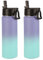 Volhoply Insulated Water Bottles with Straw Bulk 2 Pack, 660ml Stainless Steel Sports Bottle with Handle Lid,Double Wall Vacuum Metal Travel Water Tumbler with Wide Mouth for Hiking(Purple Blue,2 Set)