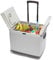 Hi-Gear 45 Litre Cooler with Integrated Handle & Wheels, 12V In Car Socket & 240V Mains Socket, Portable, Spacious, Wheeled, 45L Electric Cool Box, Camping, Travel, Picnics, Festivals, Grey