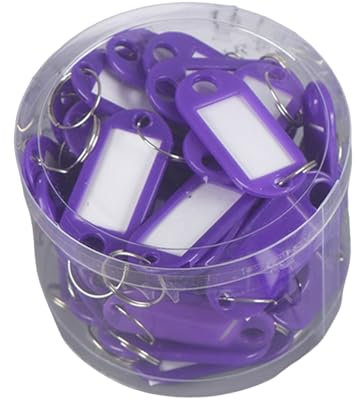GizmoSynth Lot de 50 étiquettes porte-clés en plastique avec étiquettes d'identification pour bagages, violet, S
