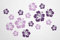 WANDfee Wandtattoo Hibiskus Blumen Hibiskusblüten FARBWUNSCH lila helllila Wandsticker Wandaufkleber Fliesenaufkleber