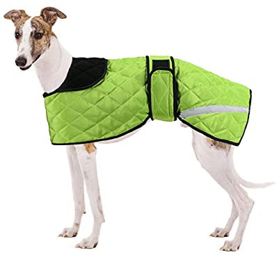 Windhunde, Wintermantel, Whippet, warmer Mantel, Outdoor-Hundebekleidung mit verstellbaren Bändern, für mittelgroße und große Lurcher Salukis Hunde in der regnerischen Jahreszeit oder Winter – Grün