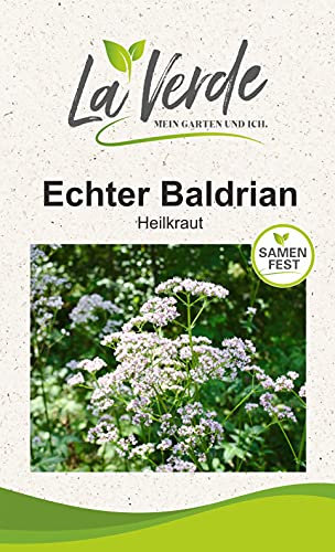 Echter Baldrian Lubelski Kräutersamen