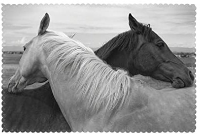 Tischsets 6er-Set, Pferd und schwarzes Pferd, Tischsets hitzebeständig, rutschfest, waschbar, Platzdeckchen 30 x 45 cm