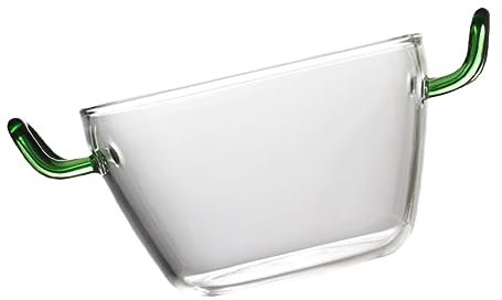 Garneck Bol À Salade En Verre Avec Couvercle Idéal Pour Les Desserts Le Riz Et Les Nouilles