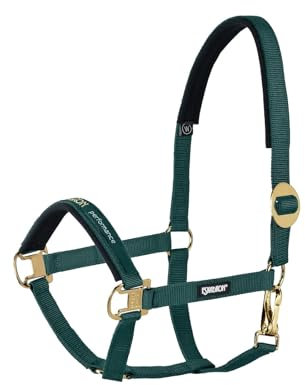 Halfter SLIDING BUCKLE CORE