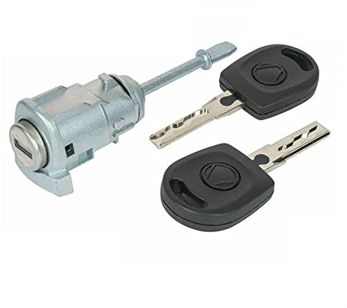 QASULER Cylindre de Serrure de Porte conducteur à Anneau Gauche, for Seat, Cordoba Ibiza III 6L3837167B 6L3837168B avec clé 2002 – 2008 Barillet de Serrure de Voiture(RINGT2 x Key)